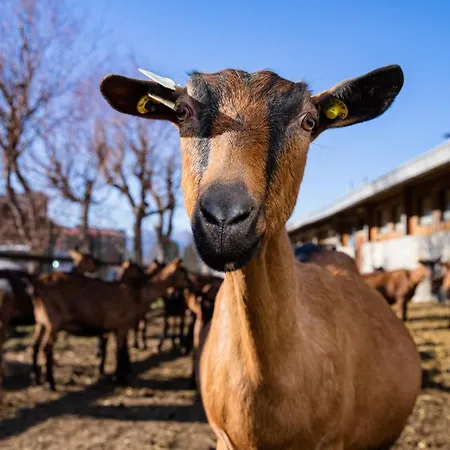 Farm stay La Fiorida
